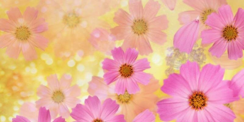 Lety banner