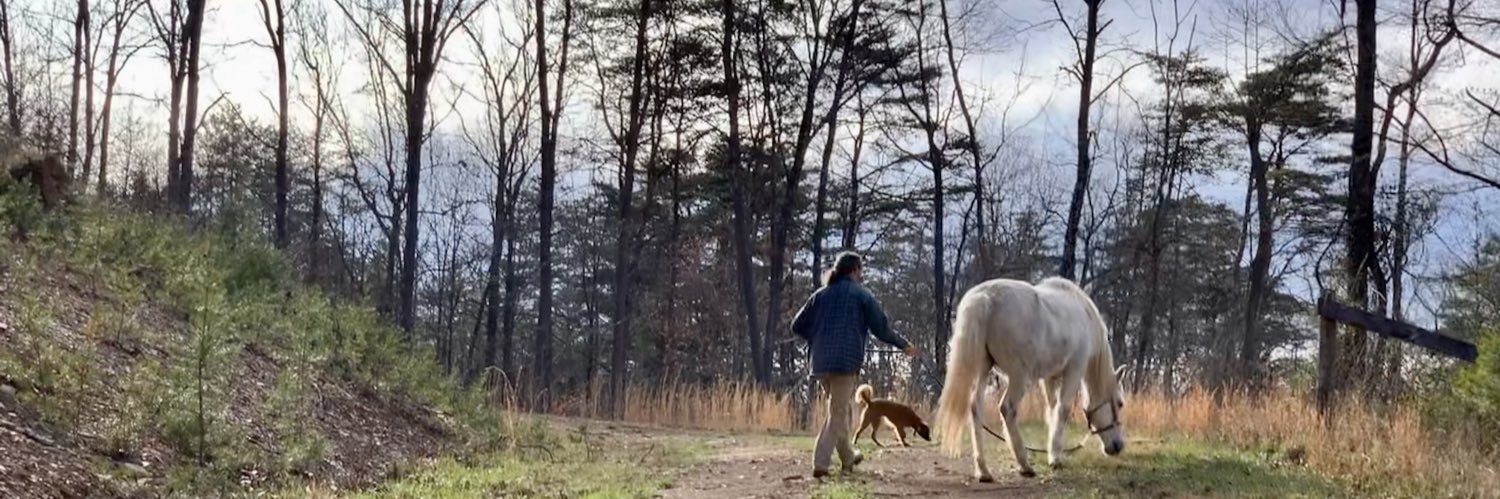 sixpawsfarm's profile banner image