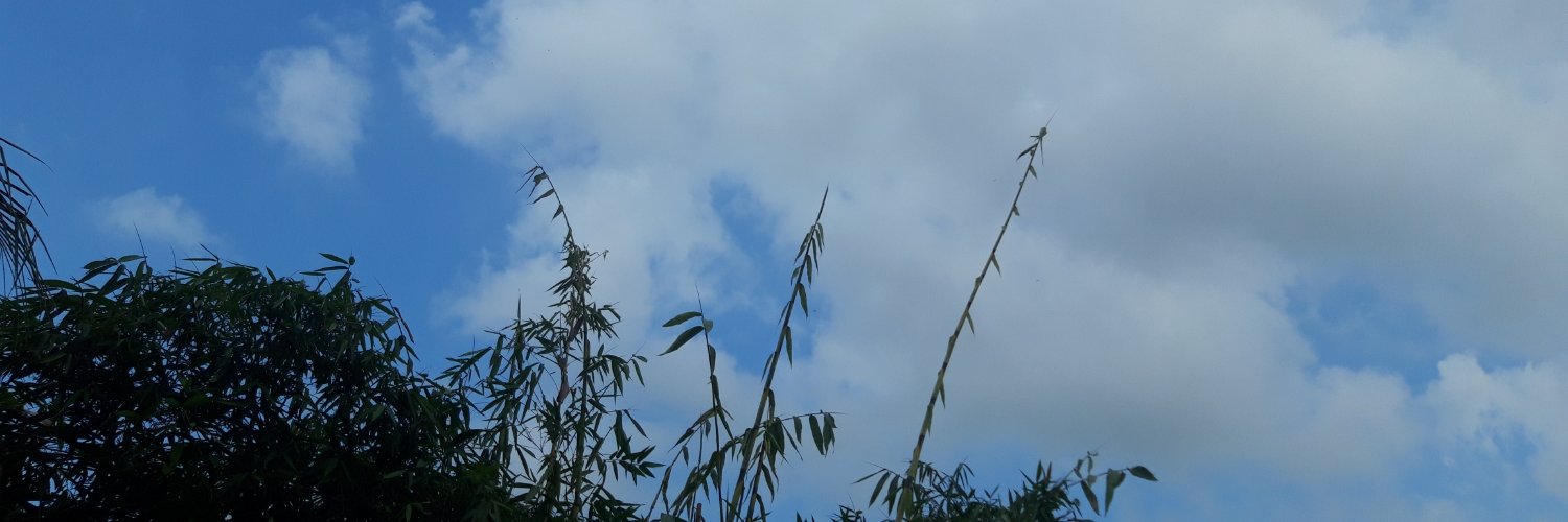 Airaaaaami's profile banner image