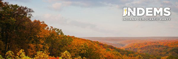 INDems Profile Banner