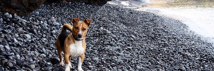 HuseyinnCaan's profile banner image