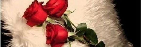 gsapn911 Profile Banner