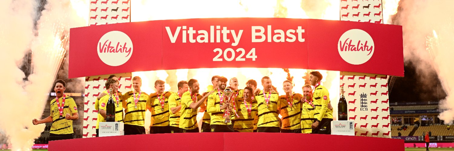 Vitality Blast's banner