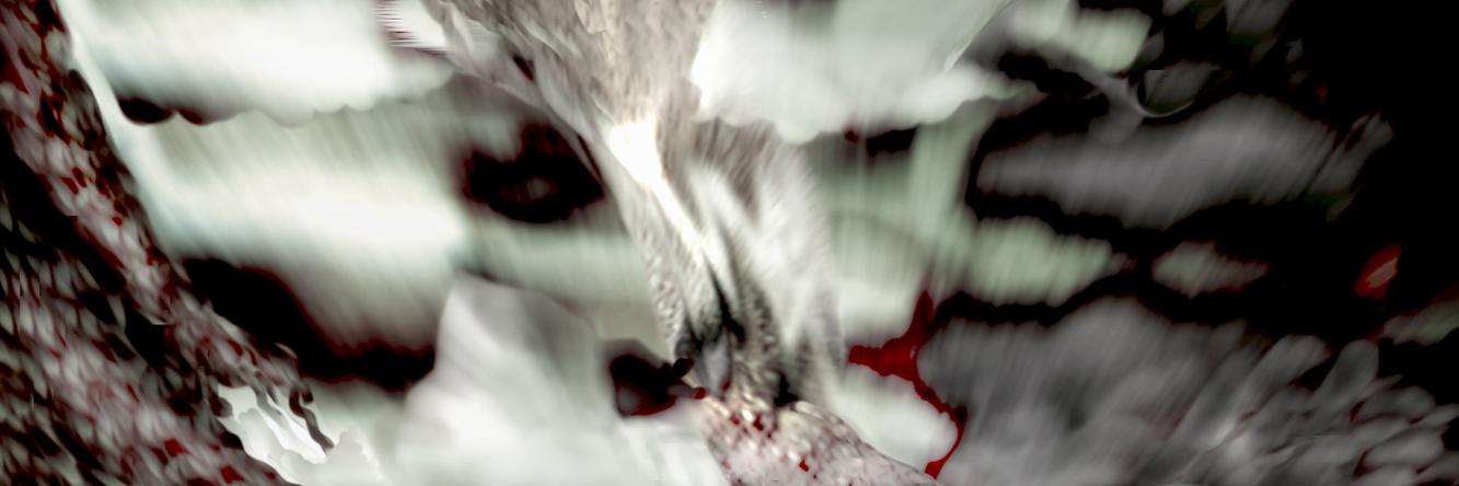galerimcrd's profile banner image