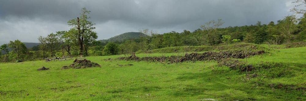 amarmedhekar's profile banner image
