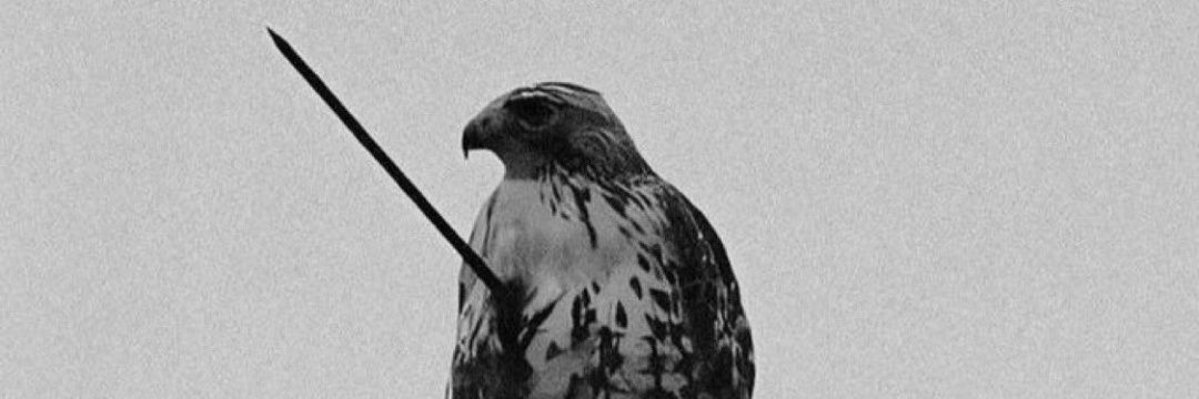 kybelest's profile banner image