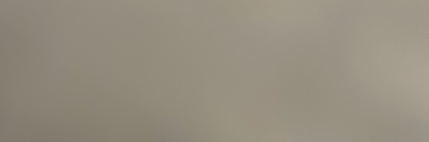 DS banner