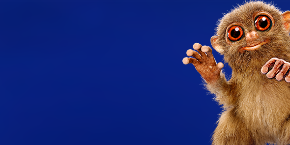 McVitiesUK's profile banner image