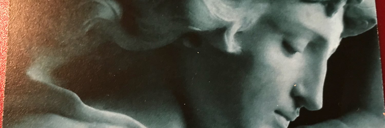 Filomena Meffe MD banner