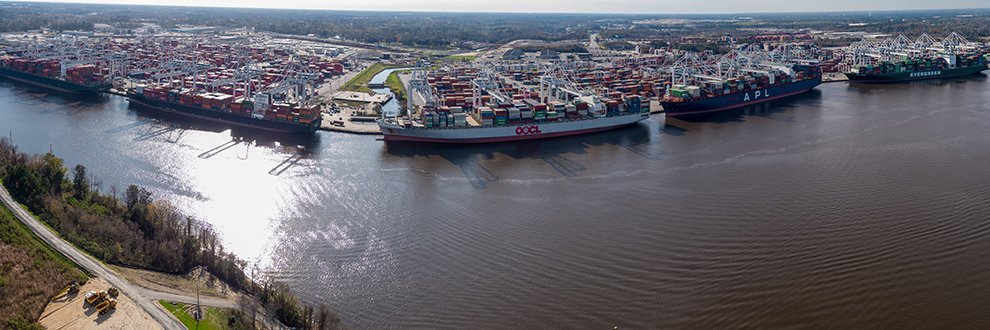 Georgia Ports banner