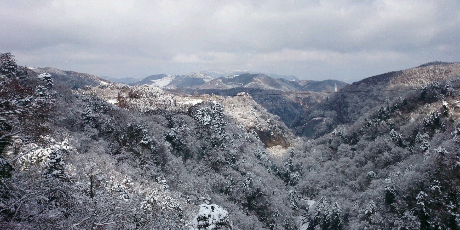 tapichale520's profile banner image