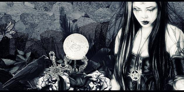 NaturesPhoenix's profile banner image