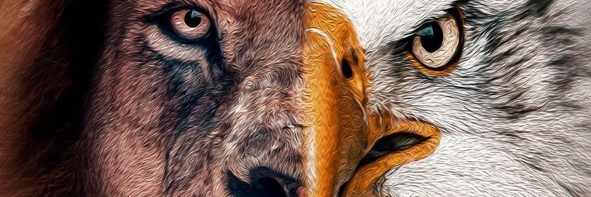 LEHMChronicles's profile banner image