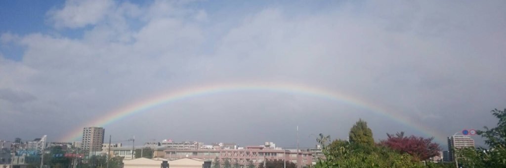 ぴょんちゃん🐭チンチラ banner