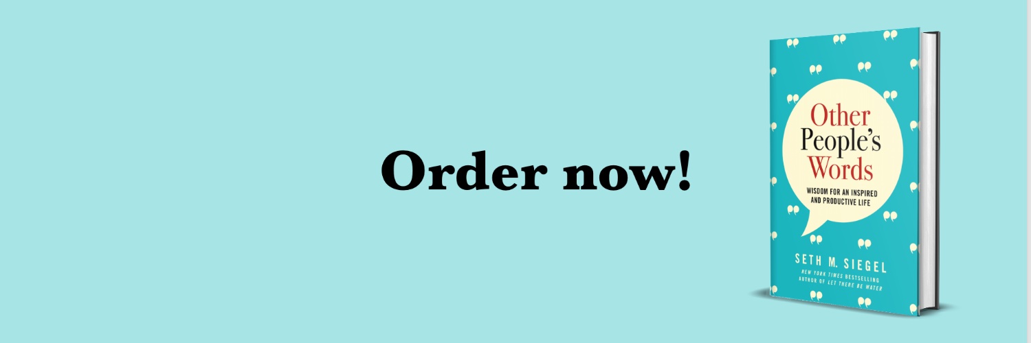 Seth M. Siegel banner