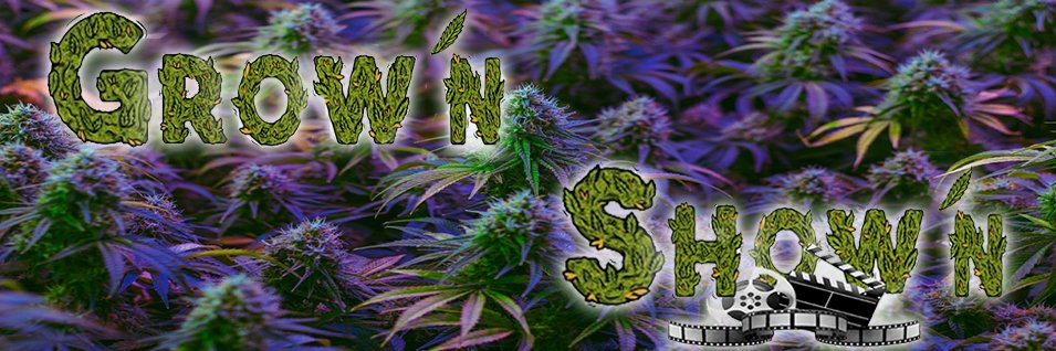 StopSmokingAidz's profile banner image