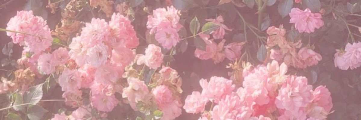 Ro_20_ii's profile banner image