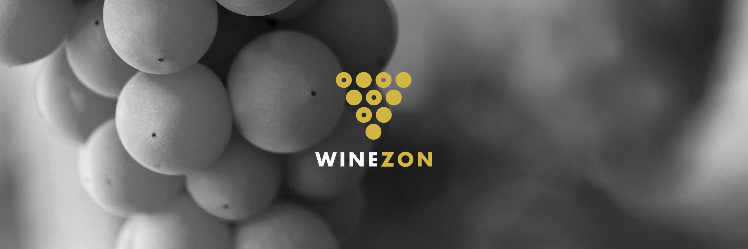 winezon's profile banner image