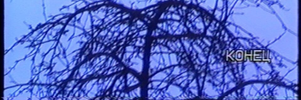 dirkasbublikom's profile banner image