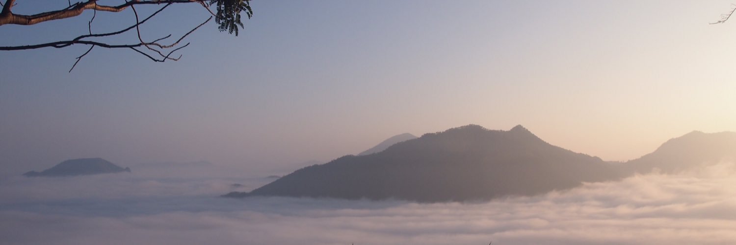 UMDAO's profile banner image