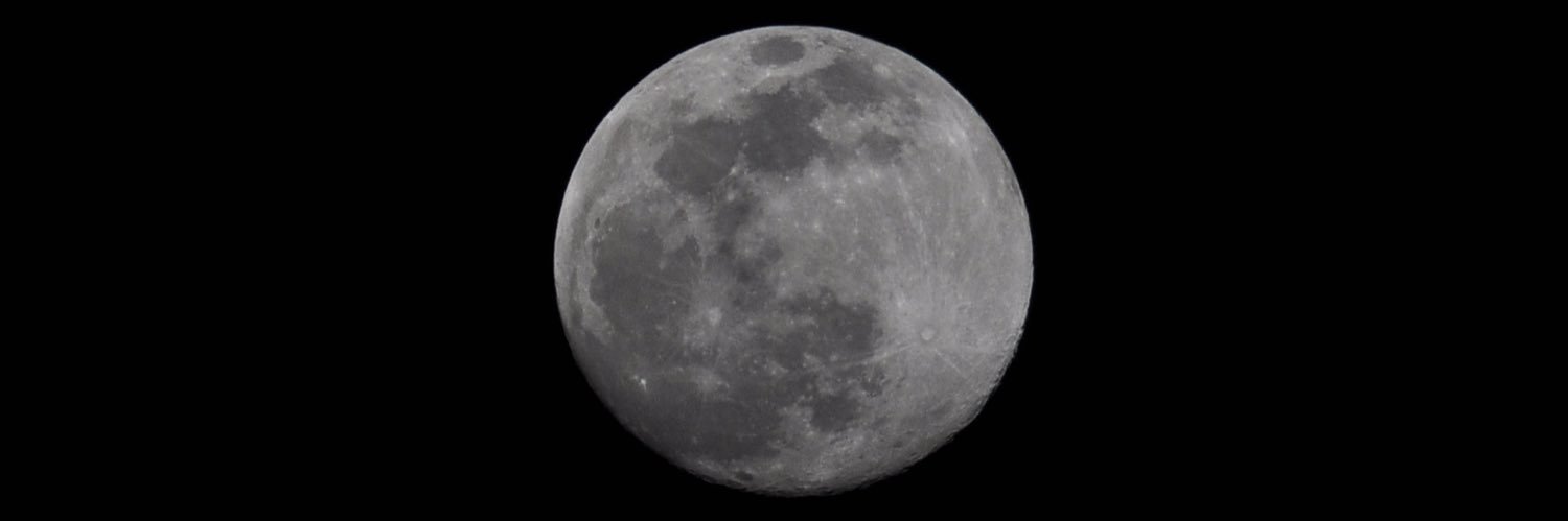 Özge Hakdan Ergüç banner