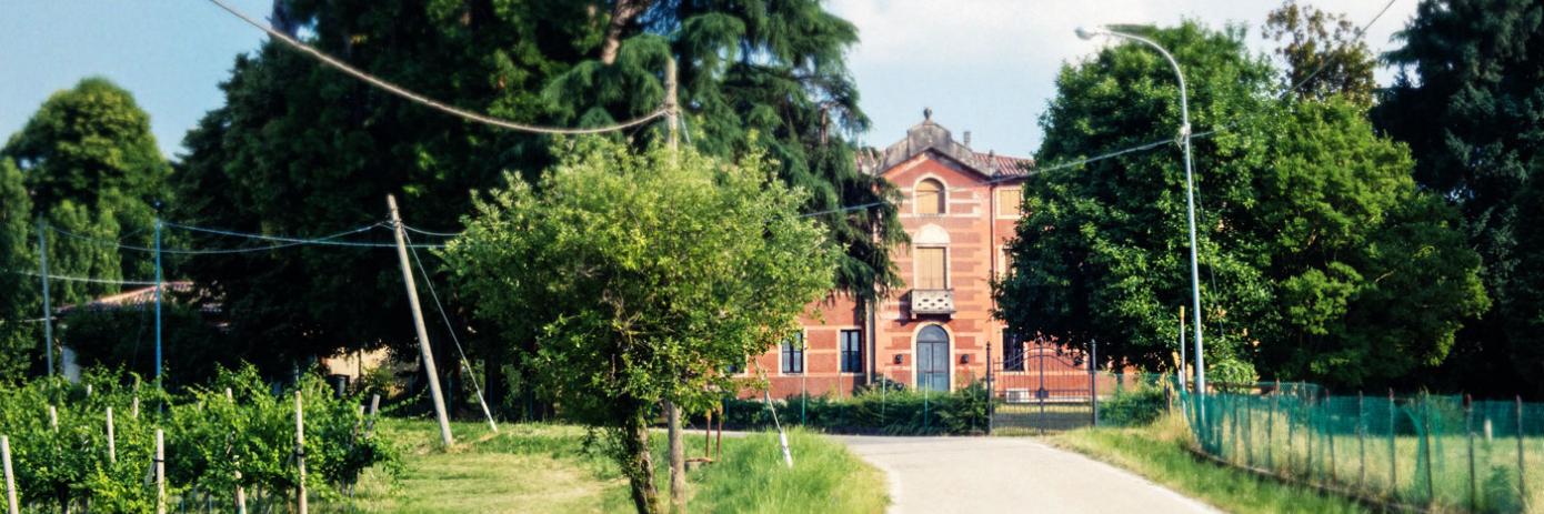 IlCollediGa's profile banner image