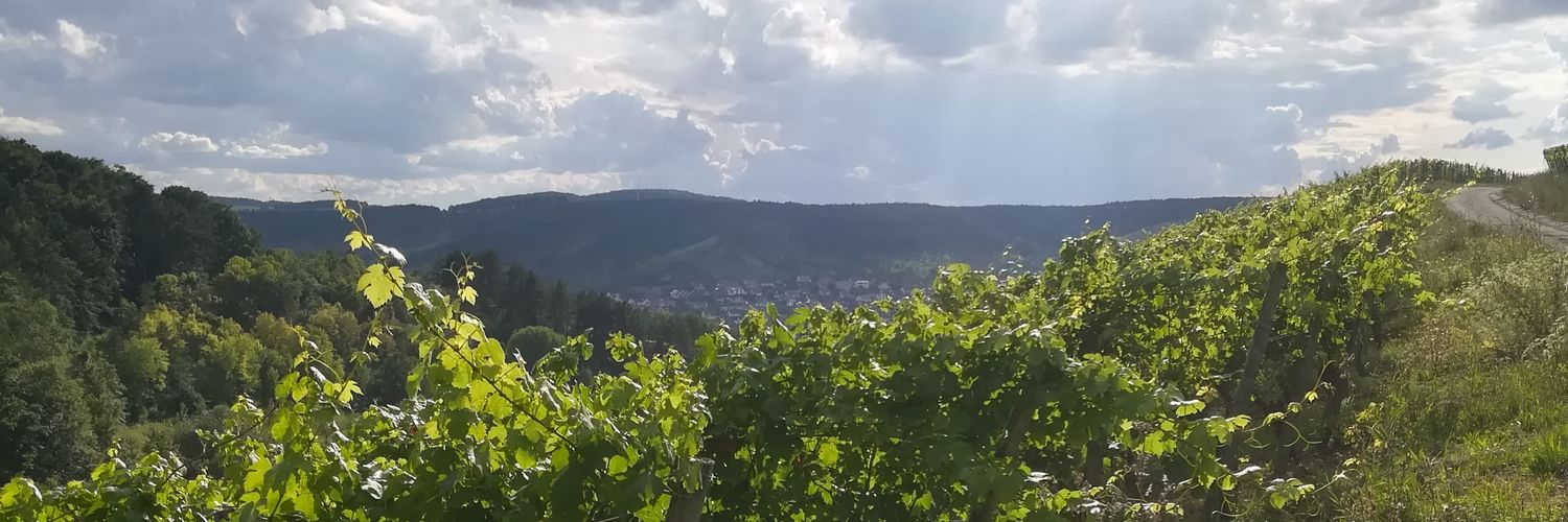 KatharinaRaeth's profile banner image