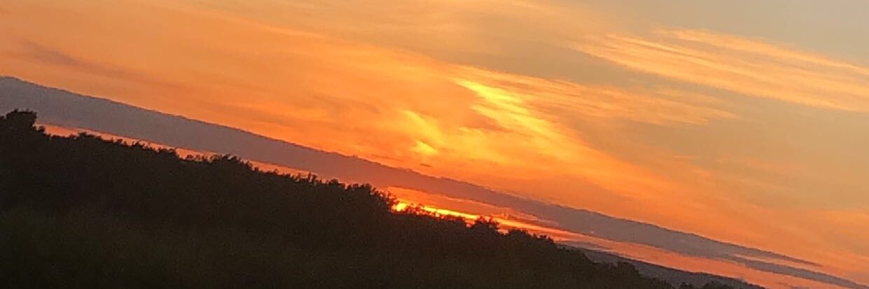 HannahMorgan12_'s profile banner image