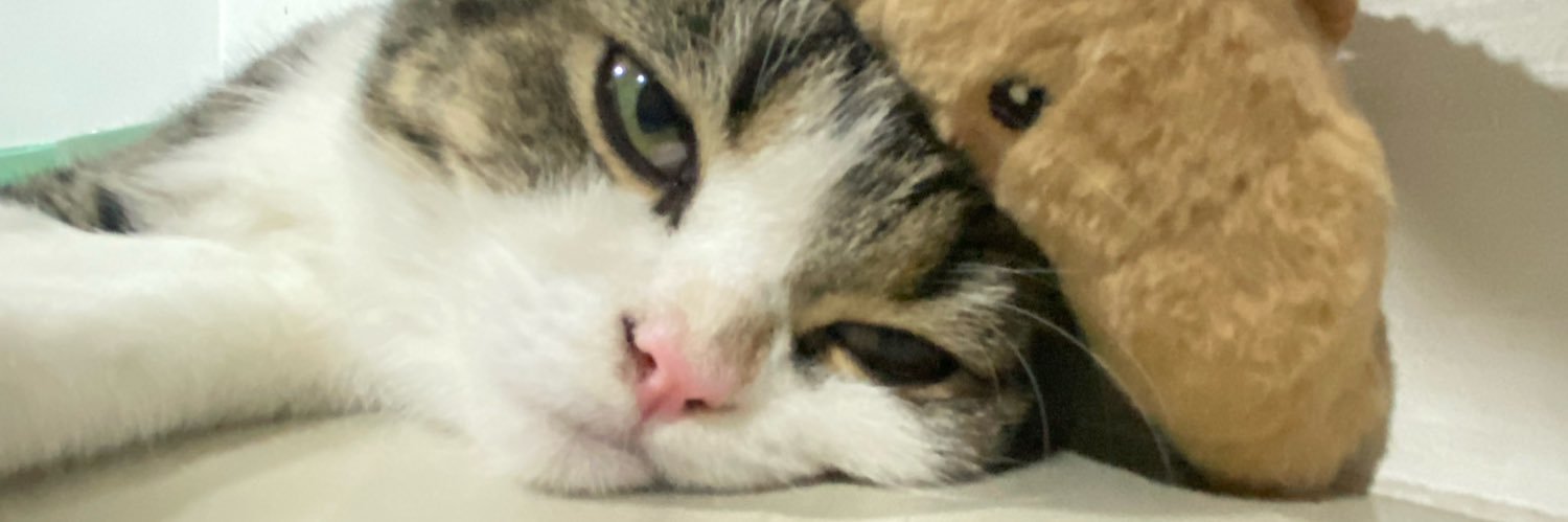 TateeSaii's profile banner image