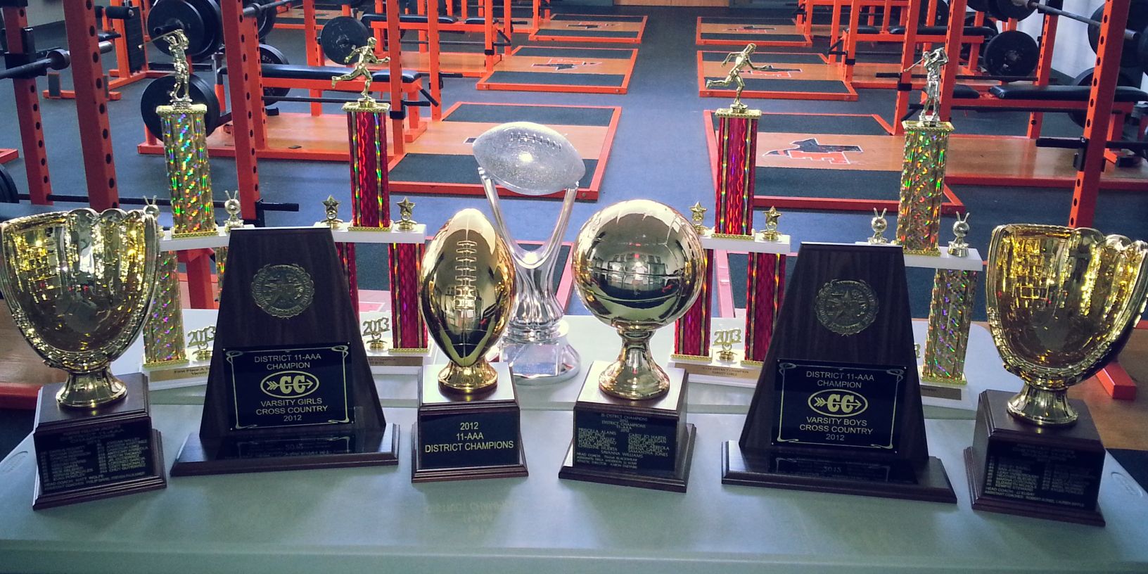 Ferris Athletics banner