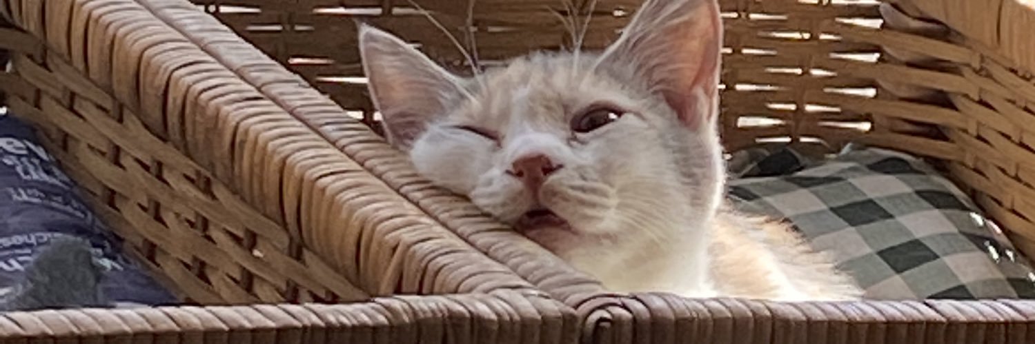 DearestAzazel's profile banner image