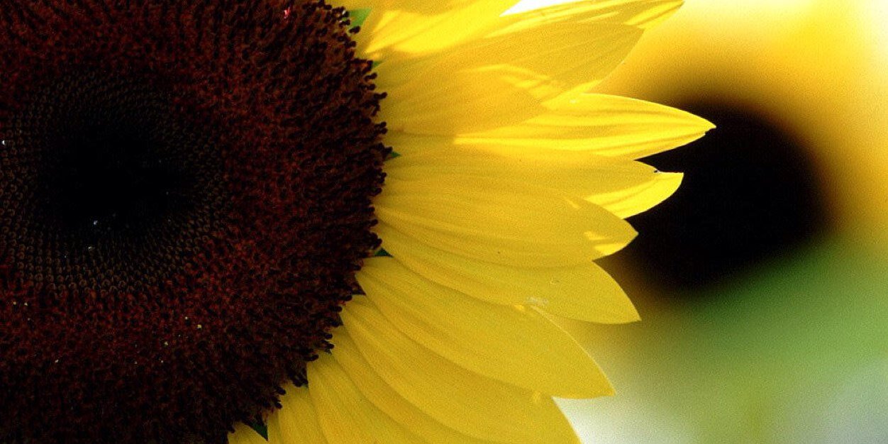 AngelaLynn44's profile banner image