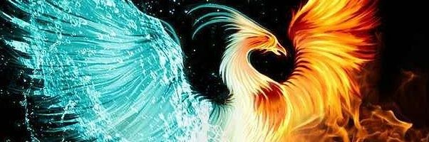 ubi8613's profile banner image