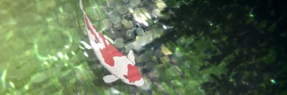 mvttstephens's profile banner image
