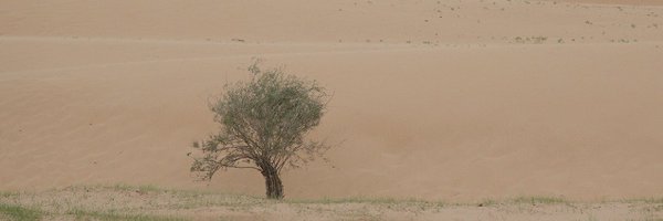 poooul Profile Banner