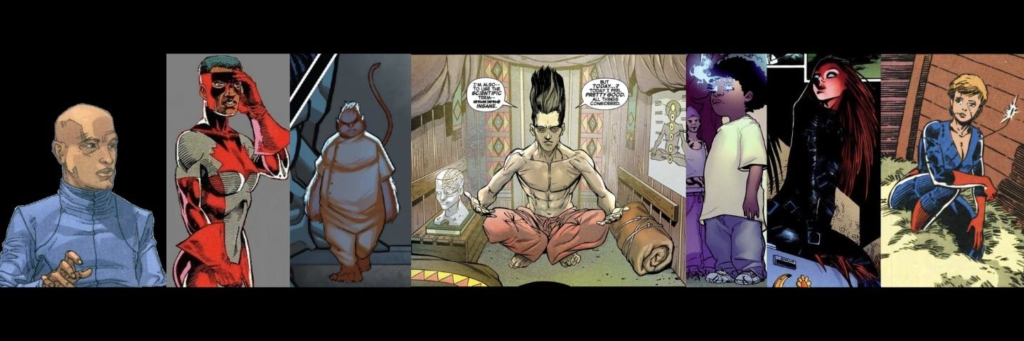 Peter M. Gade banner