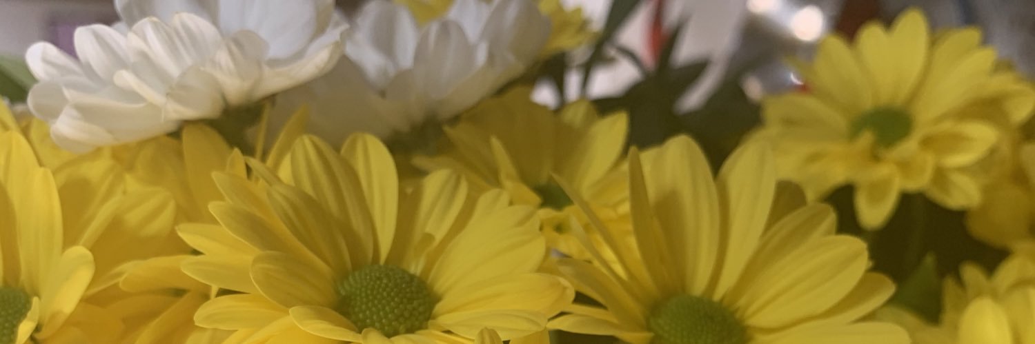 nerminerr's profile banner image