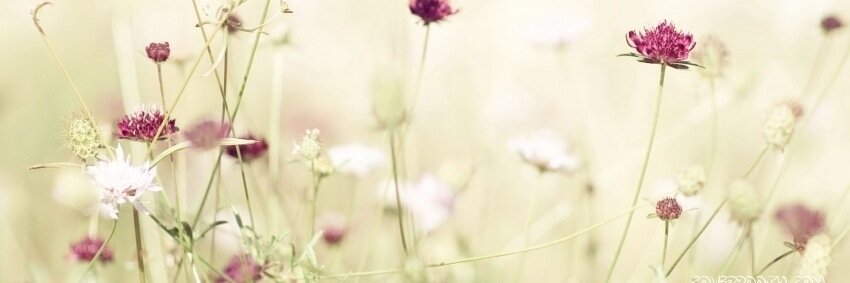 ACTStyleBlog's profile banner image