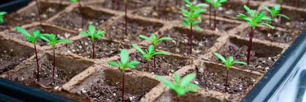 ACalums Profile Banner