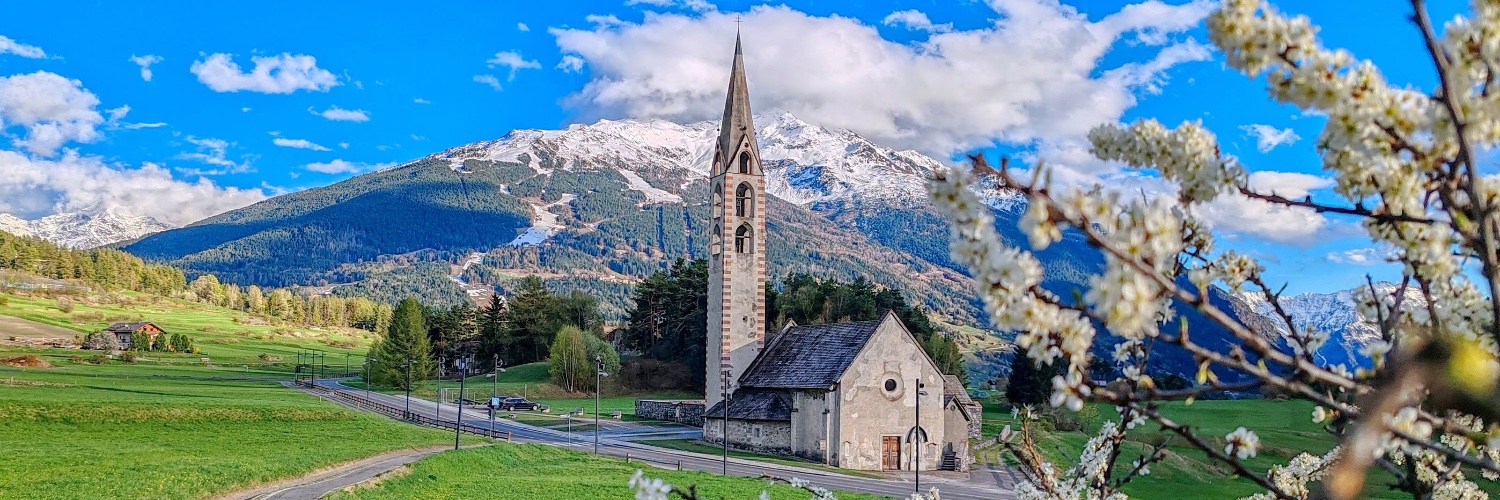 AleMelazzini's profile banner image