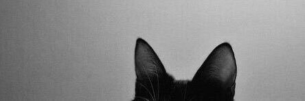 ang_klln's profile banner image