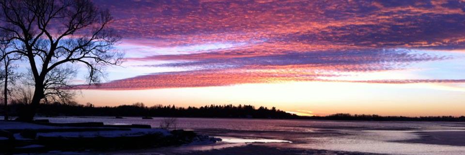 Lee Murphy Nobbs banner