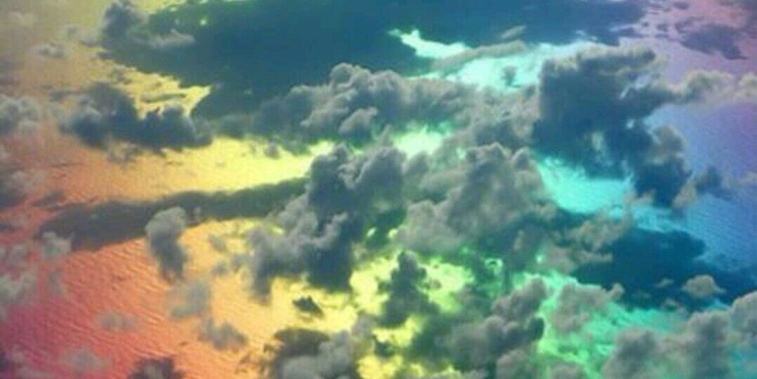 163591476's profile banner image