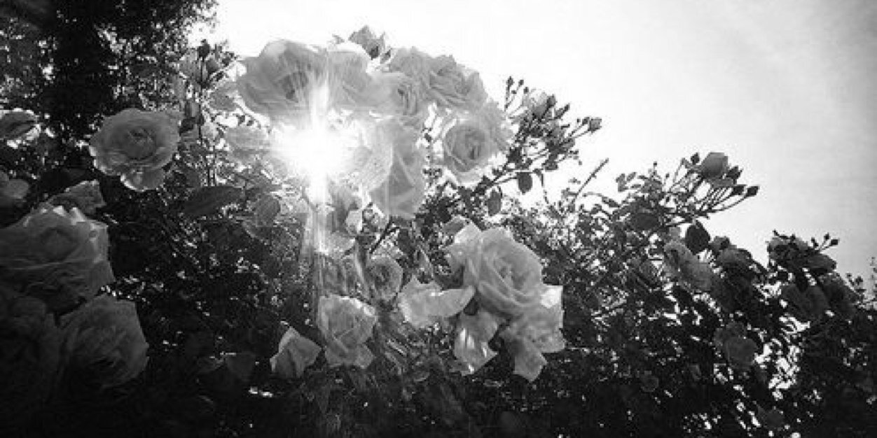 Christineg_wise's profile banner image