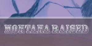 LauraLblanksma's profile banner image