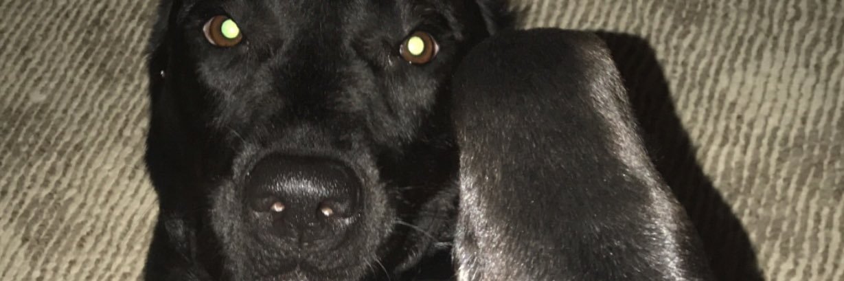 momma_shane's profile banner image