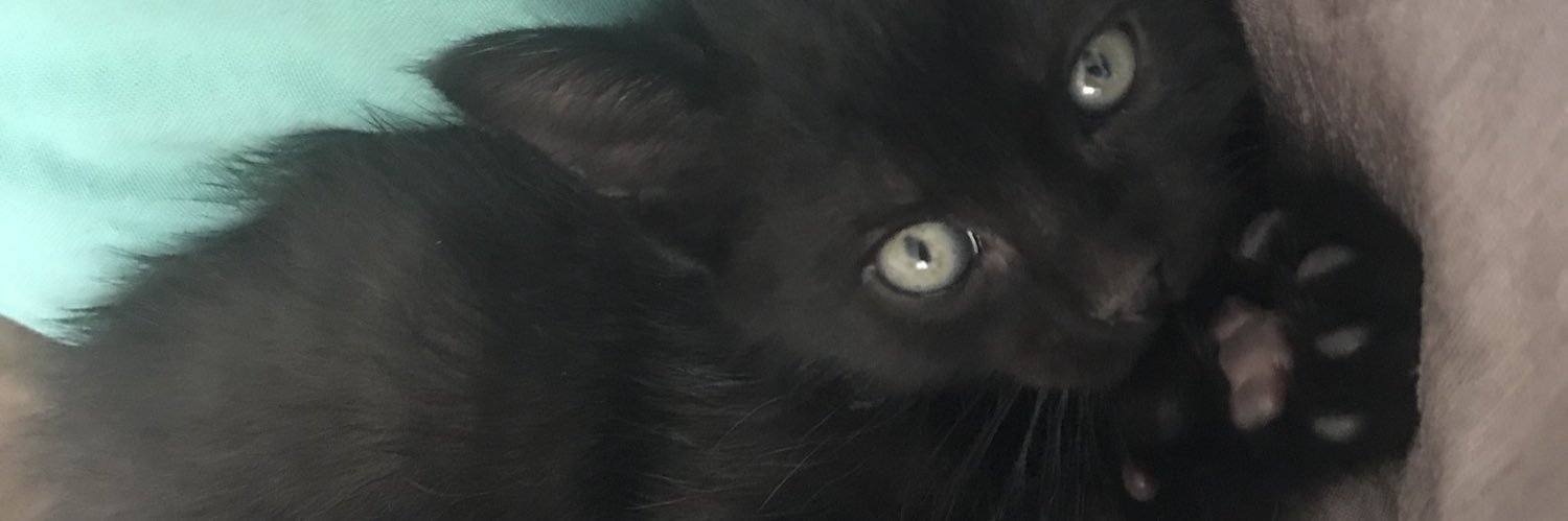 alizesg's profile banner image
