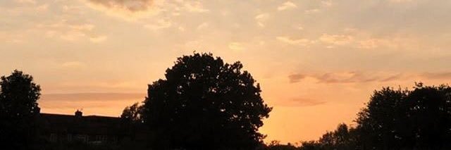 savitrifu's profile banner image