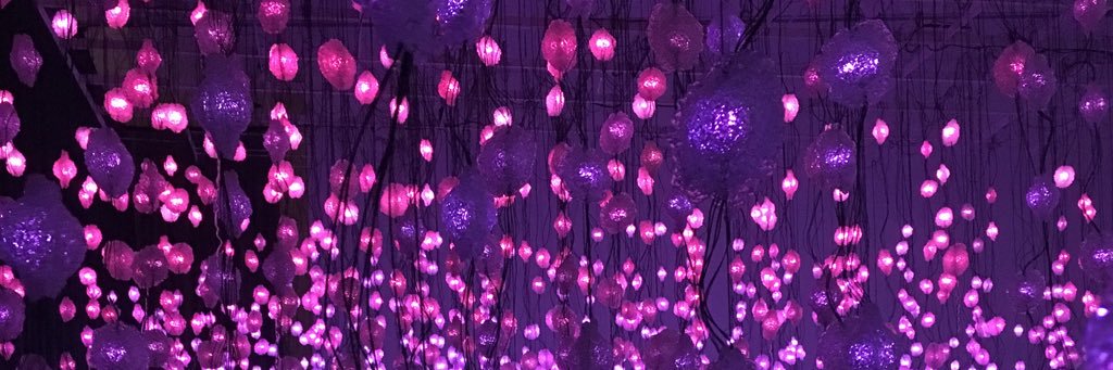 SKSPena's profile banner image