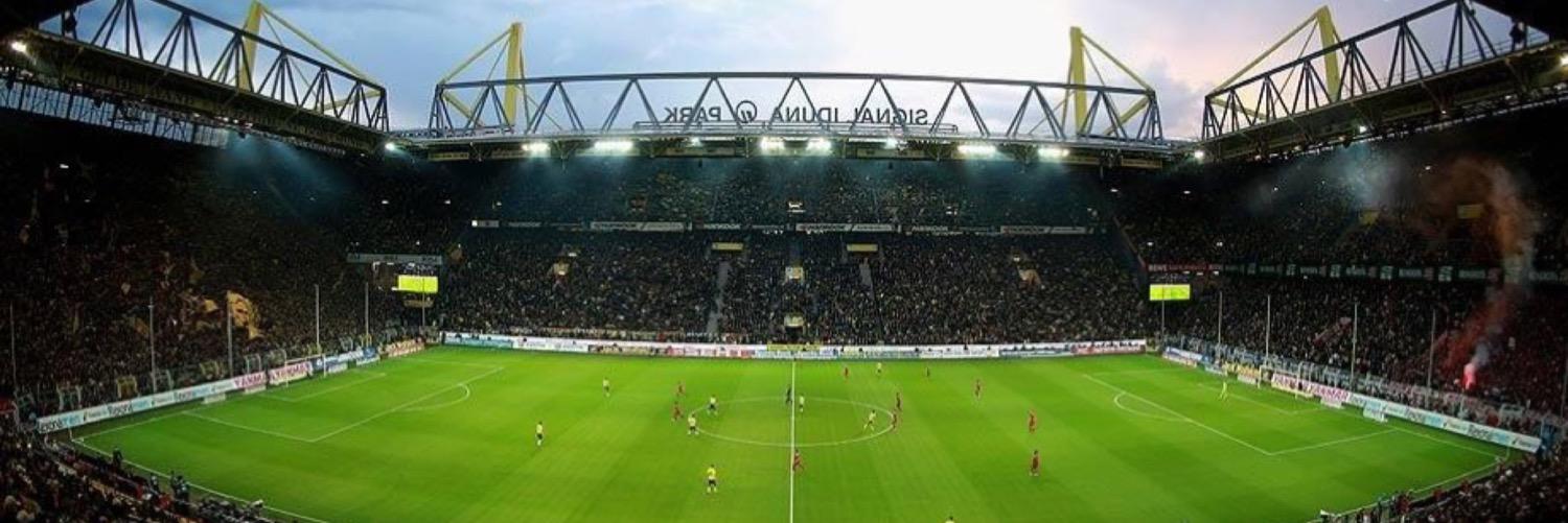 Slava Fox banner